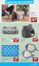 Offre Panier dans le catalogue Aldi du moment à la page 45
