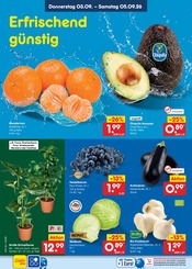 Palme im Netto Marken-Discount Prospekt in Lüneburg Aktueller Netto Marken-Discount Prospekt mit Palme, "Aktuelle Angebote", Seite 52