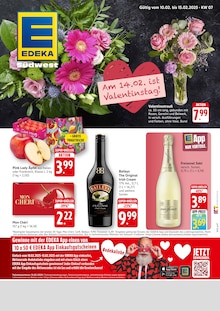 EDEKA Prospekt "Aktuelle Angebote" mit  Seiten (Mannheim)