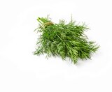 Dill bei Lidl im Schmallenberg Prospekt für 1,39 €