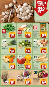 Pilze im REWE Prospekt "Dein Markt" mit 24 Seiten (Leipzig)