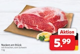 Markant Nordwest Löhne - Nacken Angebot im Prospekt Nacken bei Markant Nordwest im Löhne Prospekt für 5,99 €