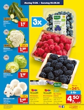 Bio im Netto Marken-Discount Prospekt in St. Ingbert Aktueller Netto Marken-Discount Prospekt mit Bio, "Aktuelle Angebote", Seite 9