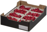 Himbeeren im METRO Prospekt Himbeeren von im aktuellen METRO Prospekt für 2,96 €