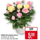 Marktkauf - Herzstücke Rosen Angebot im Prospekt Herzstücke Rosen bei Marktkauf im Prospekt für 5,99 €