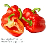 Aktuelles Rote Paprika Angebot bei Penny in Lübeck ab 1,99 €