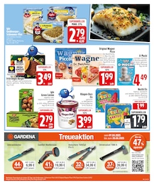 EDEKA Pizza im Prospekt EDEKA Pizza im Prospekt