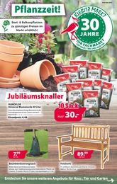 Aktueller Kiebitzmarkt Garten & Pflanzen Prospekt für Velen: Pflanzzeit! mit 12} Seiten, 03.05.2024 - 12.05.2024