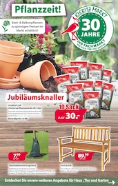 Aktueller Kiebitzmarkt Garten & Pflanzen Prospekt in Südlohn und Umgebung, "Pflanzzeit!" mit 12 Seiten, 03.05.2024 - 12.05.2024