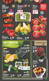 Aktueller Marktkauf Prospekt mit Gartenpflanzen, "Aktuelle Angebote", Seite 5