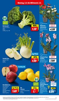 Blumen im Lidl Prospekt "LIDL LOHNT SICH" mit 61 Seiten (Chemnitz)