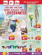 Tulpen im Netto Marken-Discount Prospekt in Kaiserslautern Aktueller Netto Marken-Discount Prospekt mit Tulpen, "Aktuelle Angebote", Seite 42