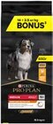 Croquettes chiens medium adult à Rural Master dans Fronton Croquettes chiens medium adult à Rural Master dans Fronton