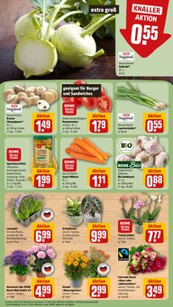 Pflanzen im REWE Prospekt "Dein Markt" mit 31 Seiten (Freiburg (Breisgau))