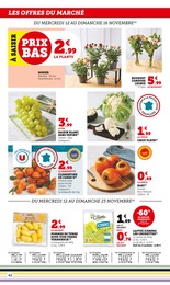 Offre Plante D'intérieur dans le catalogue U Express du moment à la page 42