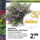 Hellweg Ennepetal (Stadt der Kluterhöhle) Prospekt mit  im Angebot für 2,99 €