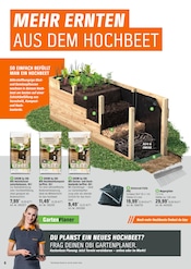 PVC im OBI Prospekt in Düren Aktueller OBI Prospekt mit PVC, "BRING FARBE IN DEN GARTEN!", Seite 6