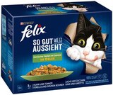 Aktuelles Katzenahrung Angebot bei REWE in Bochum ab 3,99 €