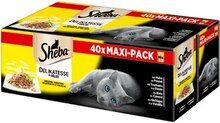 Tierfutter von Sheba bei NETTO mit dem Scottie Tierfutter von Sheba für 14,99 € bei NETTO mit dem Scottie im Prospekt "Glatte Preise"