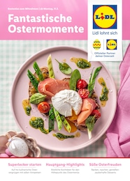 Lidl Prospekt "Fantastische Ostermomente" mit 41 Seiten (Nürnberg)
