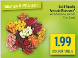 Fairtrade Moosrosen Angebote von Gut & Günstig bei diska Amberg für 1,99 €