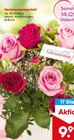 Herzensangelegenheit Angebote bei Netto Marken-Discount Kaufbeuren für 9,99 €