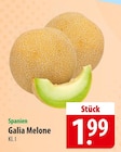 Galia Melone Angebot in Hilgermissen Galia Melone im aktuellen Prospekt bei famila Nordost in Hilgermissen