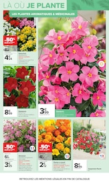 Prix et réduction Fleurs dans le prospectus Carrefour en cours Offre Fleurs dans le catalogue Carrefour du moment à la page 6