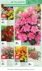 Promos Géranium dans le catalogue "JARDIN, LÀ OÙ LA VIE SE CULTIVE" de Carrefour Géranium en promo dans le catalogue Carrefour à la page 6