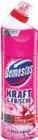 WC-Gel im Angebot bei Netto Marken-Discount in Castrop-Rauxel WC-Gel Angebote von Domestos bei Netto Marken-Discount Castrop-Rauxel für 1,59 €