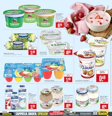 Milch im aktuellen Marktkauf Prospekt (Ulm) Milch im Marktkauf Prospekt "Aktuelle Angebote" mit 49 Seiten (Ulm)
