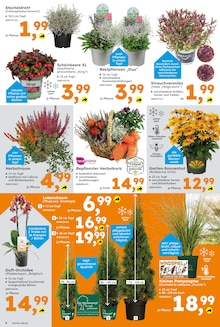 Akku-Heckenschere Angebot im aktuellen Globus-Baumarkt Prospekt auf Seite 6