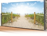 Seitenmarkise mit Motiv im Angebot bei Wreesmann in Stendal Seitenmarkise mit Motiv Angebote bei Wreesmann Stendal für 69,99 €