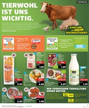 Aktueller Kaufland Prospekt mit Schweinefleisch, "Aktuelle Angebote", Seite 9