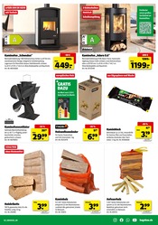 Briketts im Hagebaumarkt Prospekt in Siegen Aktueller Hagebaumarkt Prospekt mit Briketts, "APP LADEN UND GEWINNEN", Seite 13