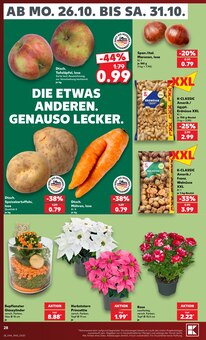 Pflanzen im Kaufland Prospekt "Hier bin ich richtig" mit 80 Seiten (Wiesbaden)