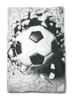 Renforcé Bettwäsche von DFB im aktuellen Netto mit dem Scottie Prospekt