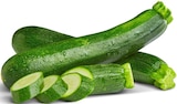 Penny Mosbach - Bio-Zucchini Angebot im Prospekt Bio-Zucchini bei Penny im Mosbach Prospekt für 0,99 €
