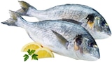 Dorade Royal im Angebot bei REWE in Wiesbaden Dorade Royal Angebote bei REWE Wiesbaden für 1,39 €