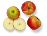Aktuelle Äpfel Angebote bei Kaufland in Solingen (Klingenstadt) Aktuelles Dtsch. Tafeläpfel »Elstar« Angebot bei Kaufland in Solingen (Klingenstadt) ab 2,49 €