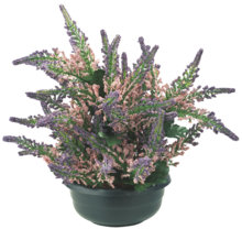 Serre De Jardin - Gifi Serre De Jardin à 6,00 € dans le catalogue Gifi "Vive la frousse"
