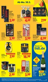 Aktueller Lidl Prospekt mit Trüffel, "LIDL LOHNT SICH", Seite 19