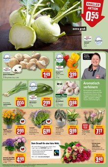 Pflanzen im REWE Prospekt "Dein Markt" mit 32 Seiten (Nürnberg)