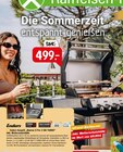 Raiffeisenmarkt - Gasgrill Angebot im Prospekt Gasgrill bei Raiffeisenmarkt im Prospekt "" für 499,00 €
