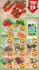 Aktueller REWE Prospekt mit Chrysantheme, "Dein Markt", Seite 5