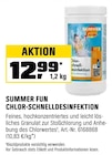 CHLOR-SCHNELLDESINFEKTION Angebote von SUMMER FUN bei OBI Neustadt für 12,99 €