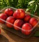 Promo Nectarine jaune à 1,49 € dans le catalogue Hmarket à Vert-Saint-Denis