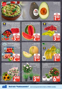 Frischemarkt Prill Eldena Prospekt der aktuellen Woche, gültig von 27.07.2026 bis 01.08.2026 Aktueller Frischemarkt Prill Eldena Prospekt "Top Angebote" mit 12 Seiten
