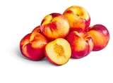 Penny Garbsen - Aprikosen Angebot im Prospekt Aprikosen bei Penny im Garbsen Prospekt für 3,33 €