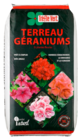 TERREAU GÉRANIUMS - TRÈFLE VERT dans le catalogue Trèfle Vert